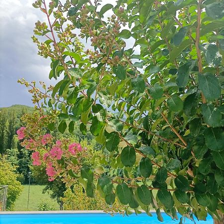 B&B Villa Ginevra Pietralunga  Kültér fotó
